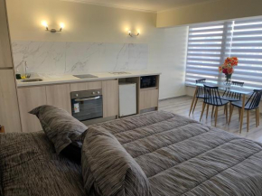 Loft con excelente ubicación en Viña del mar